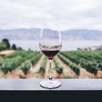 glass of wine overlooking a vineyard glass of wine overlooking a vineyard