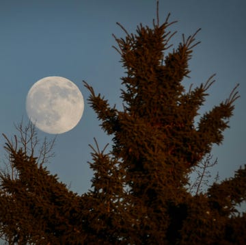 a full moon in the sky