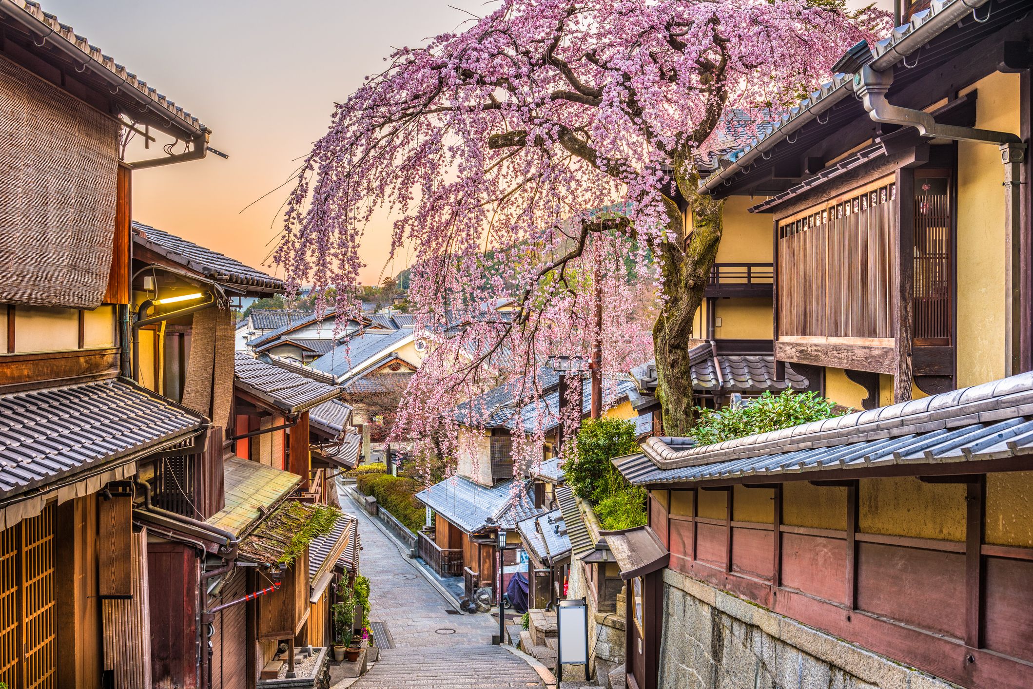 When Is the Best Time to Visit Japan?