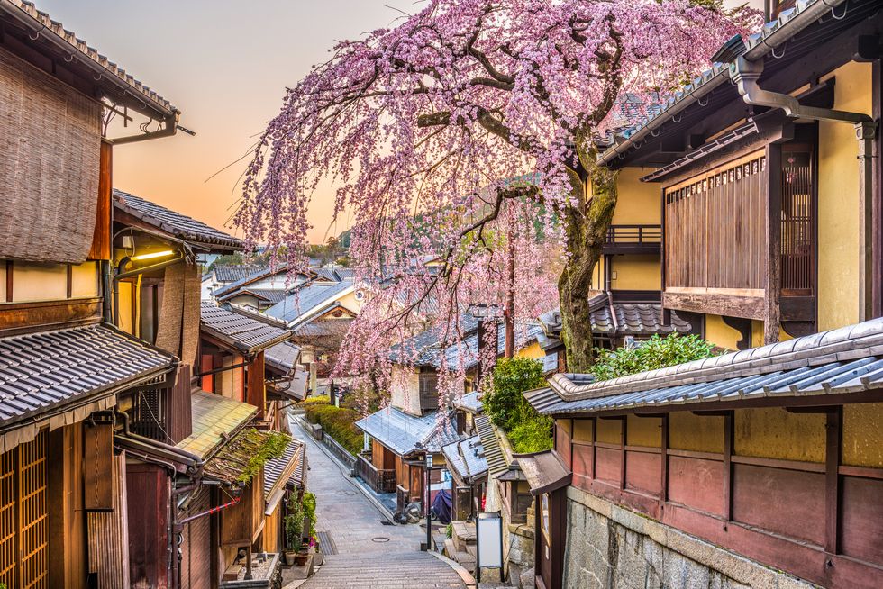 kyoto, japan in spring