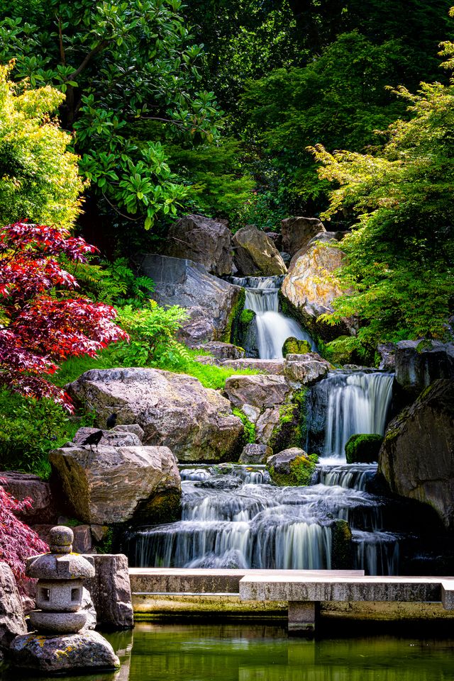 waterfall long exposure vertical view with maple trees in kyoto japanese green garden in holland park green summer zen lake pond water in london, uk