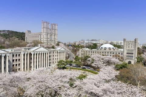 kyung hee university, seoul, korea