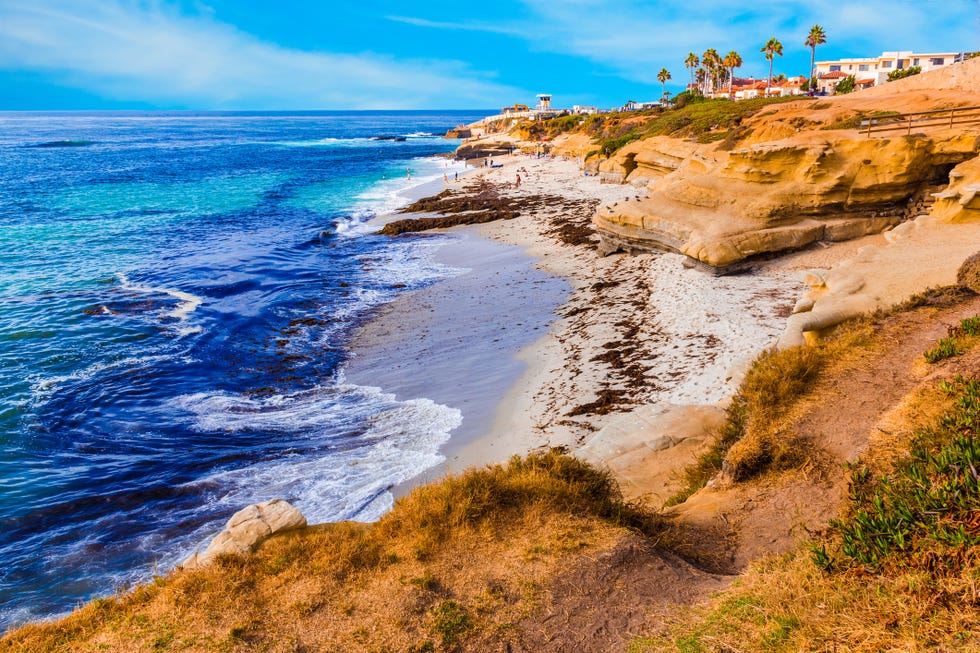 la jolla coastline in southern california,san diego p