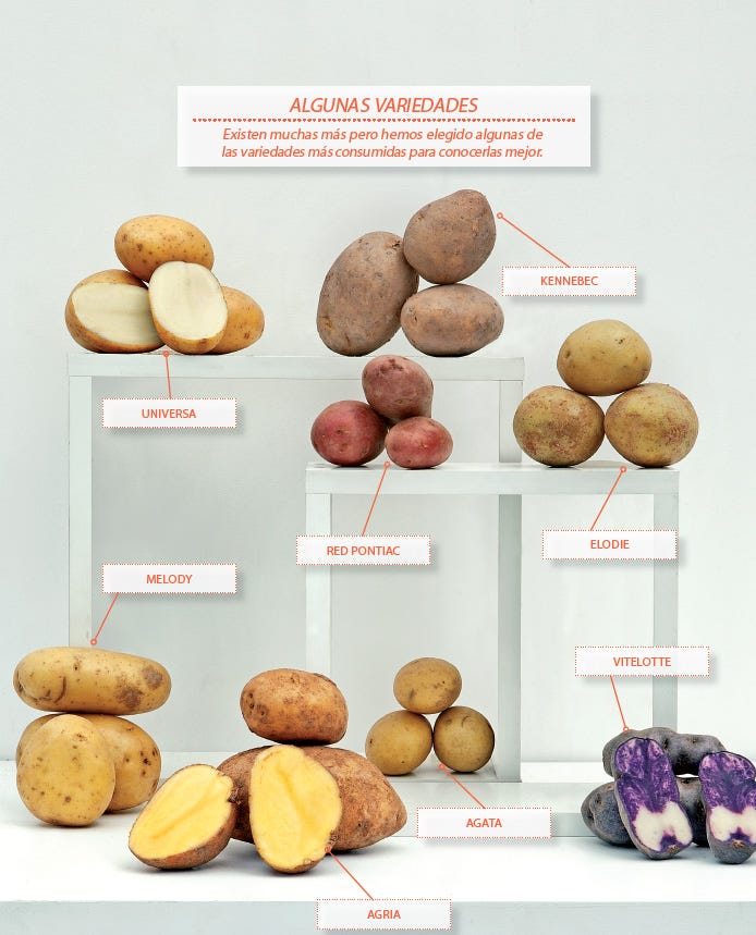 Variedades de patatas variedades de patatas