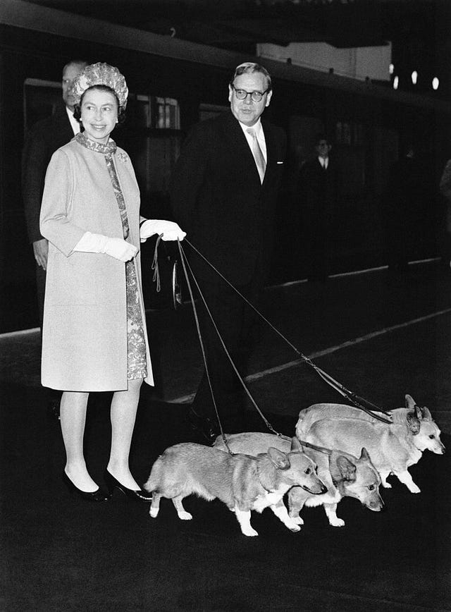 elizabeth ii et ses chiens
