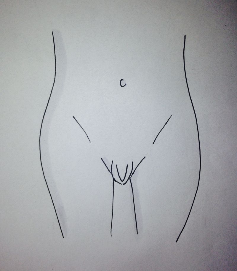 a drawing of a vulva with curved outer lips