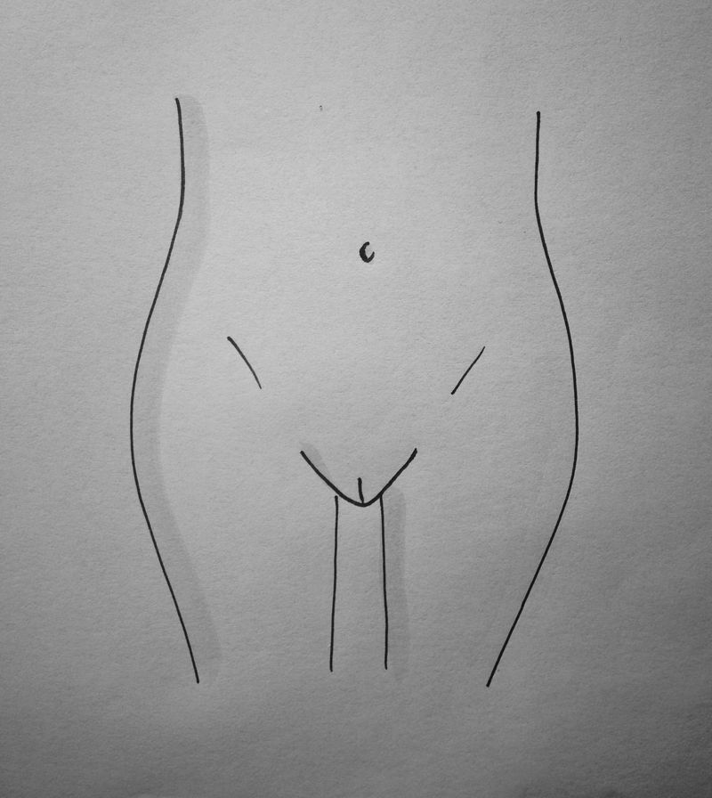 an illustration of a vulva where the labia are tucked in and not visible