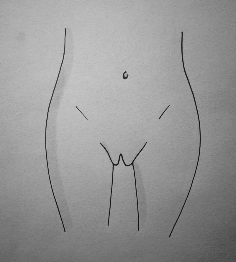 a drawing of a small vagina giving the appearance of being 'open' and meaning the labia minora can be visible