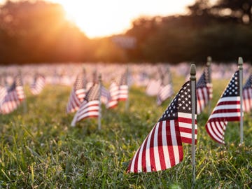 field full of mini american flags