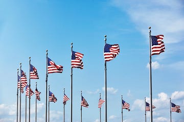 Flag, Flag of the united states, Sky, Pole, Plant, Wind, Veterans day, 