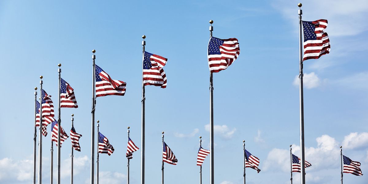 Flag, Flag of the united states, Sky, Pole, Plant, Wind, Veterans day, 