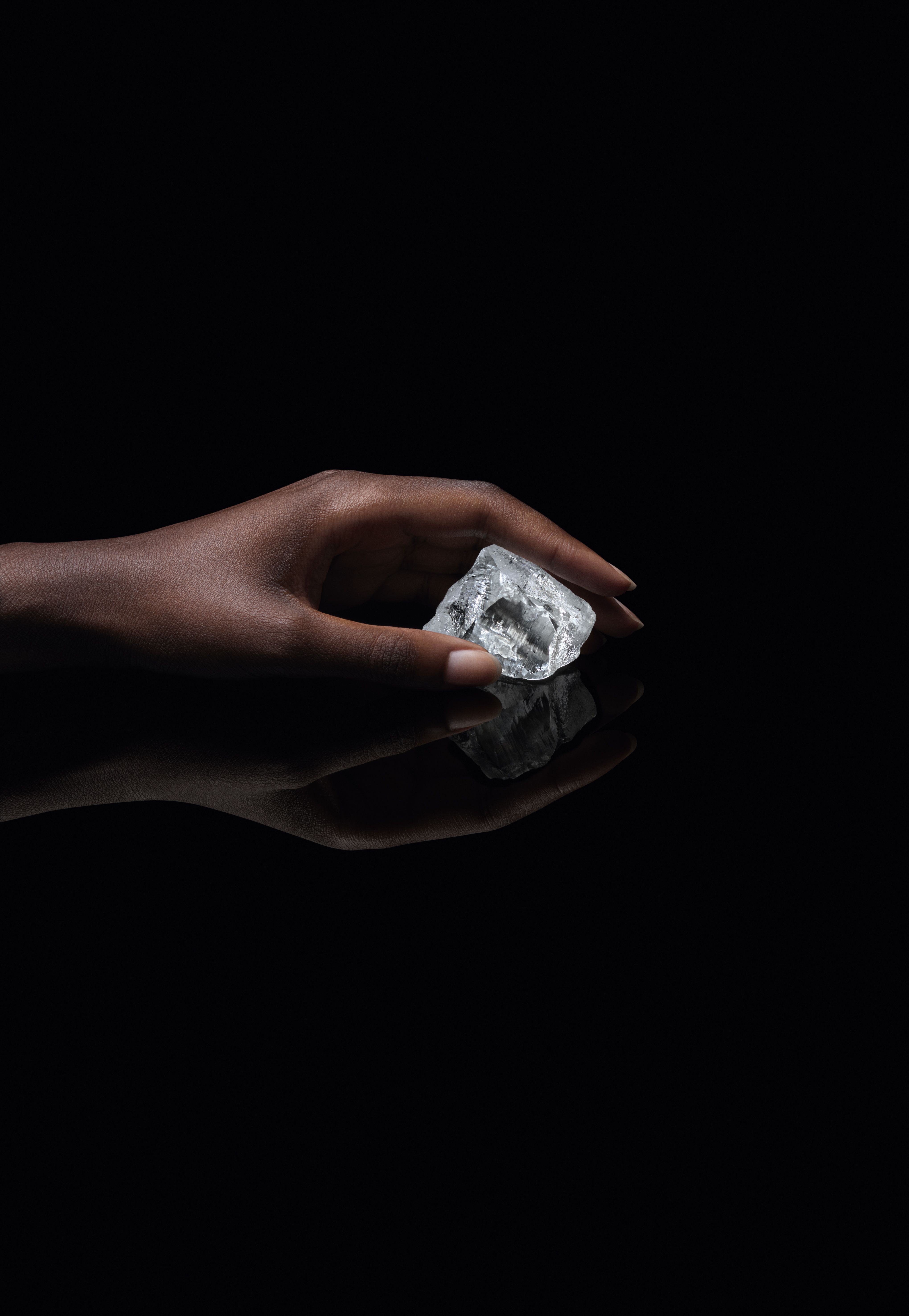 Louis Vuitton's 549-Carot Diamond Sethunya