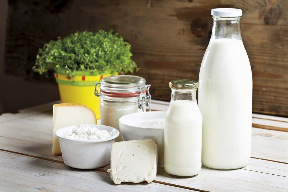 alimentos lácteos