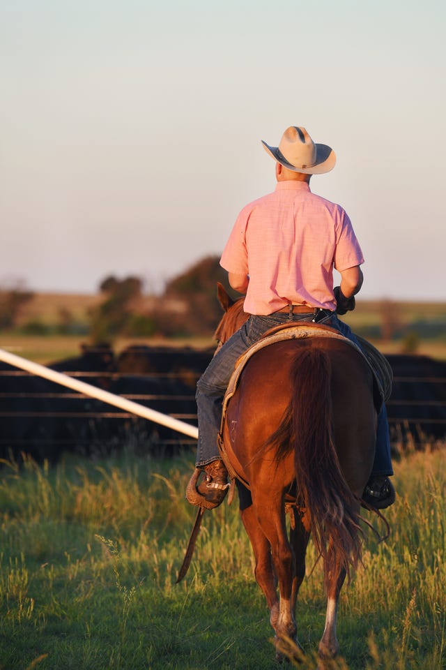 A Day in the Life of Two Cowboys Working on Ree Drummond's Ranch