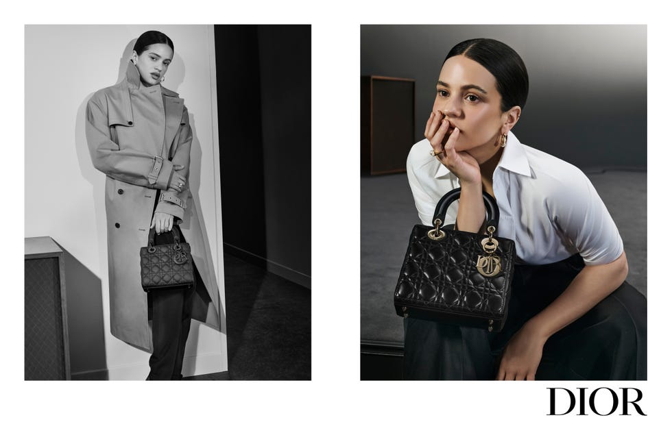 lady dior campaign x rosalia