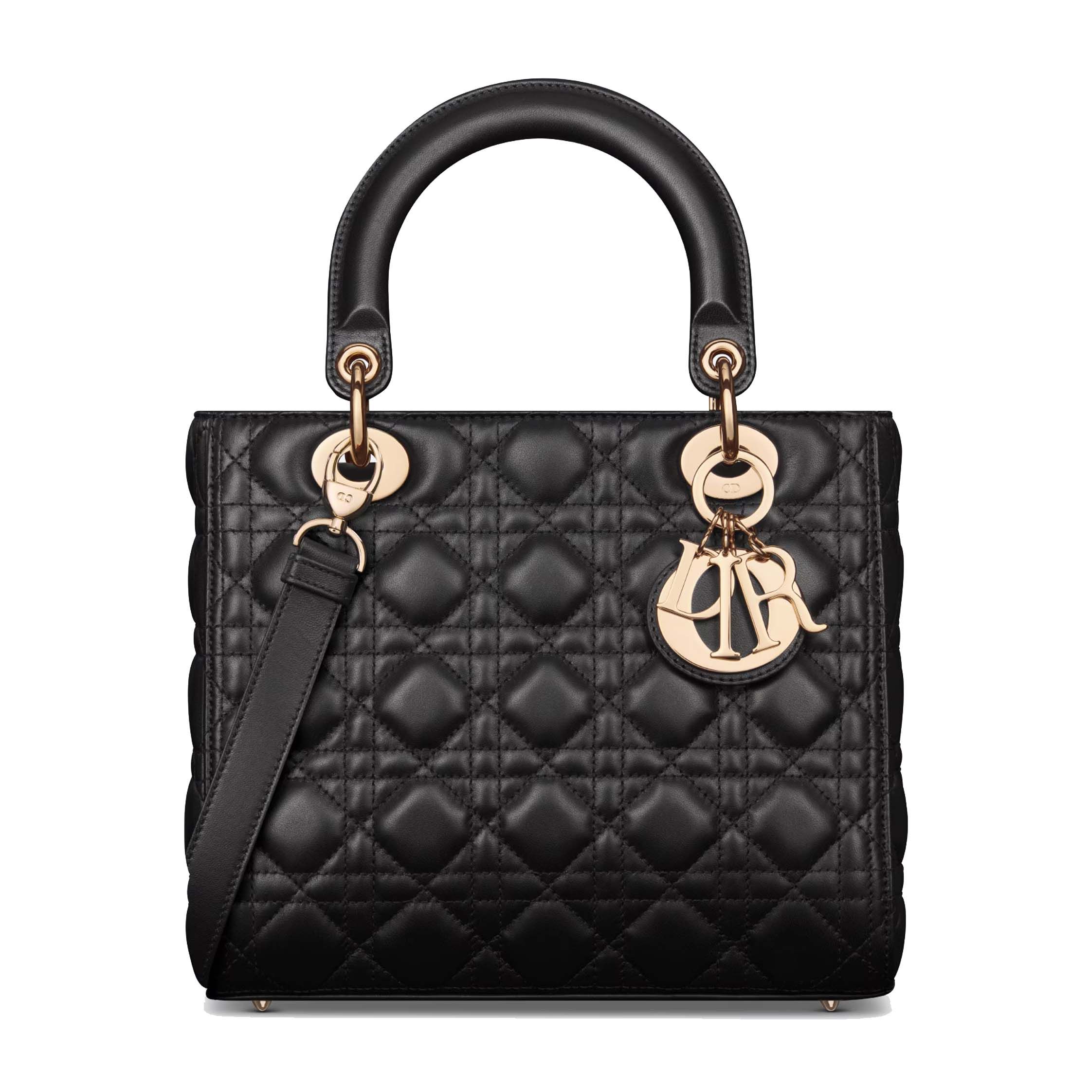 Dior chouchou bag sale