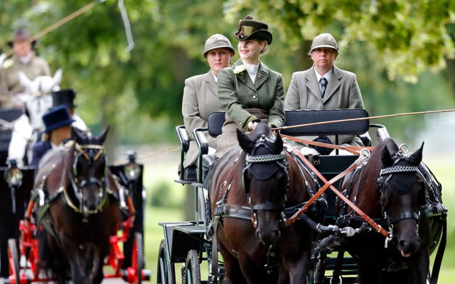 lady louise windsor drives prince phillips carriage