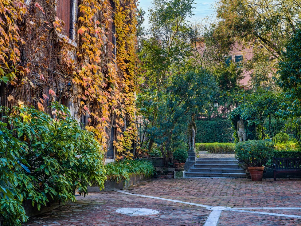 laguna b garden