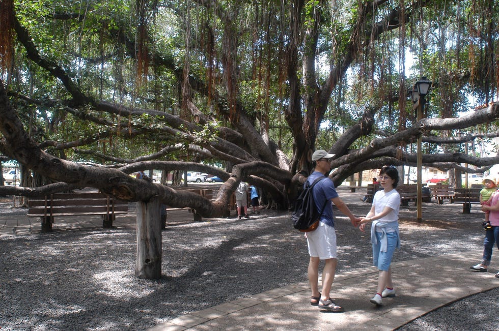 The Royal History of Lahaina, Hawaii