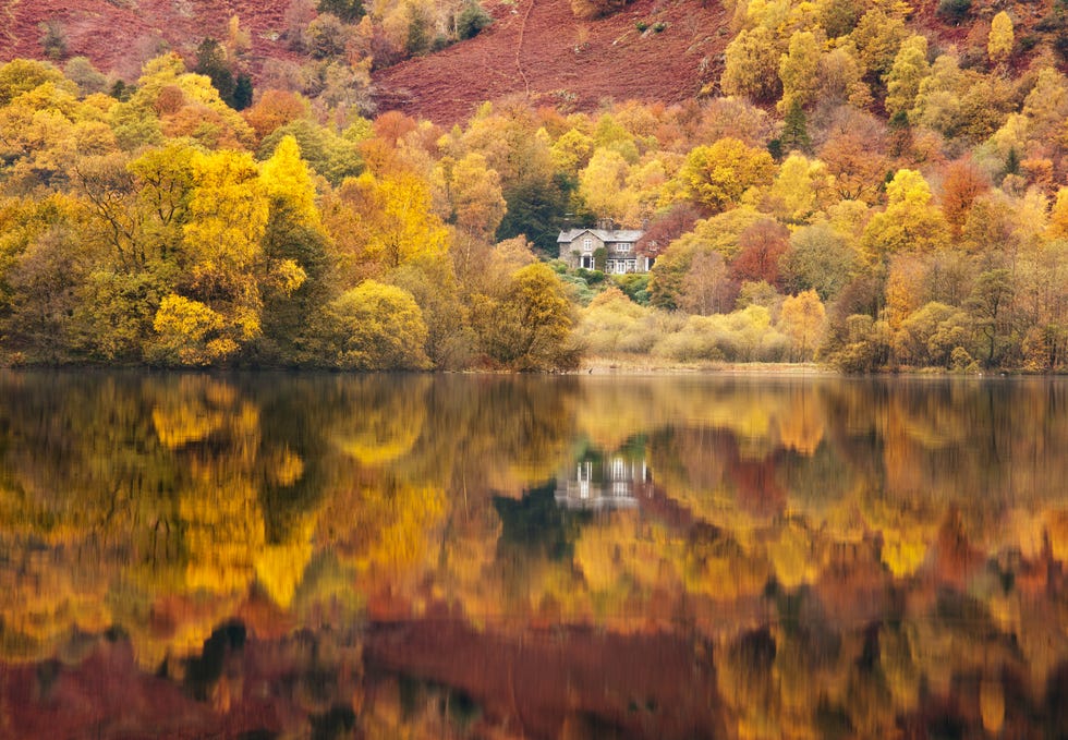 the best places to see autumn colours in the uk