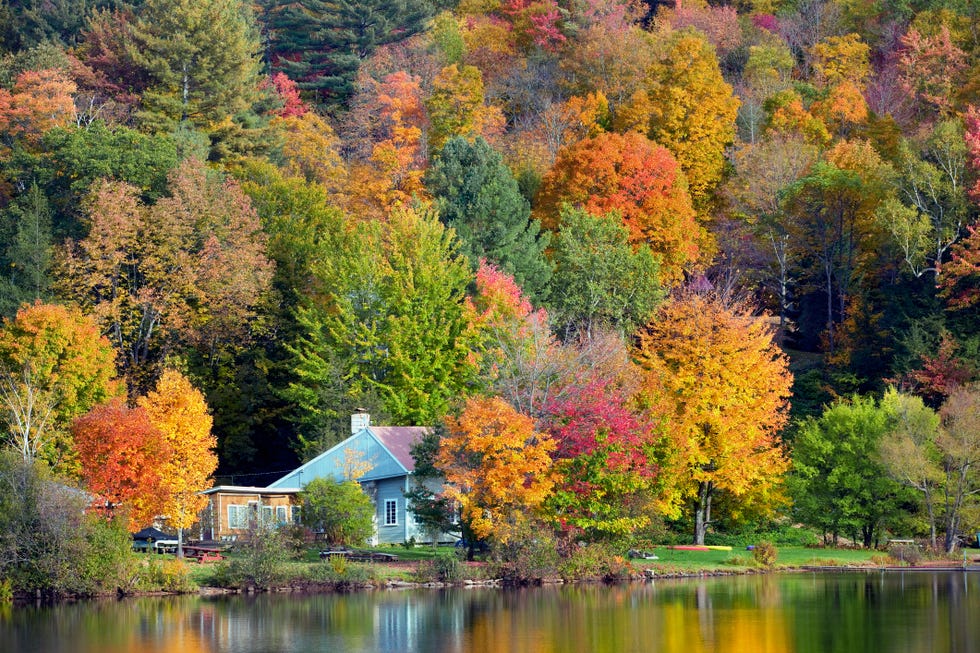 Manchester Vermont