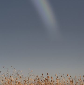 lake sevan,scenic view of rainbow over field against sky