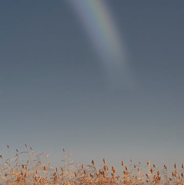 lake sevan,scenic view of rainbow over field against sky