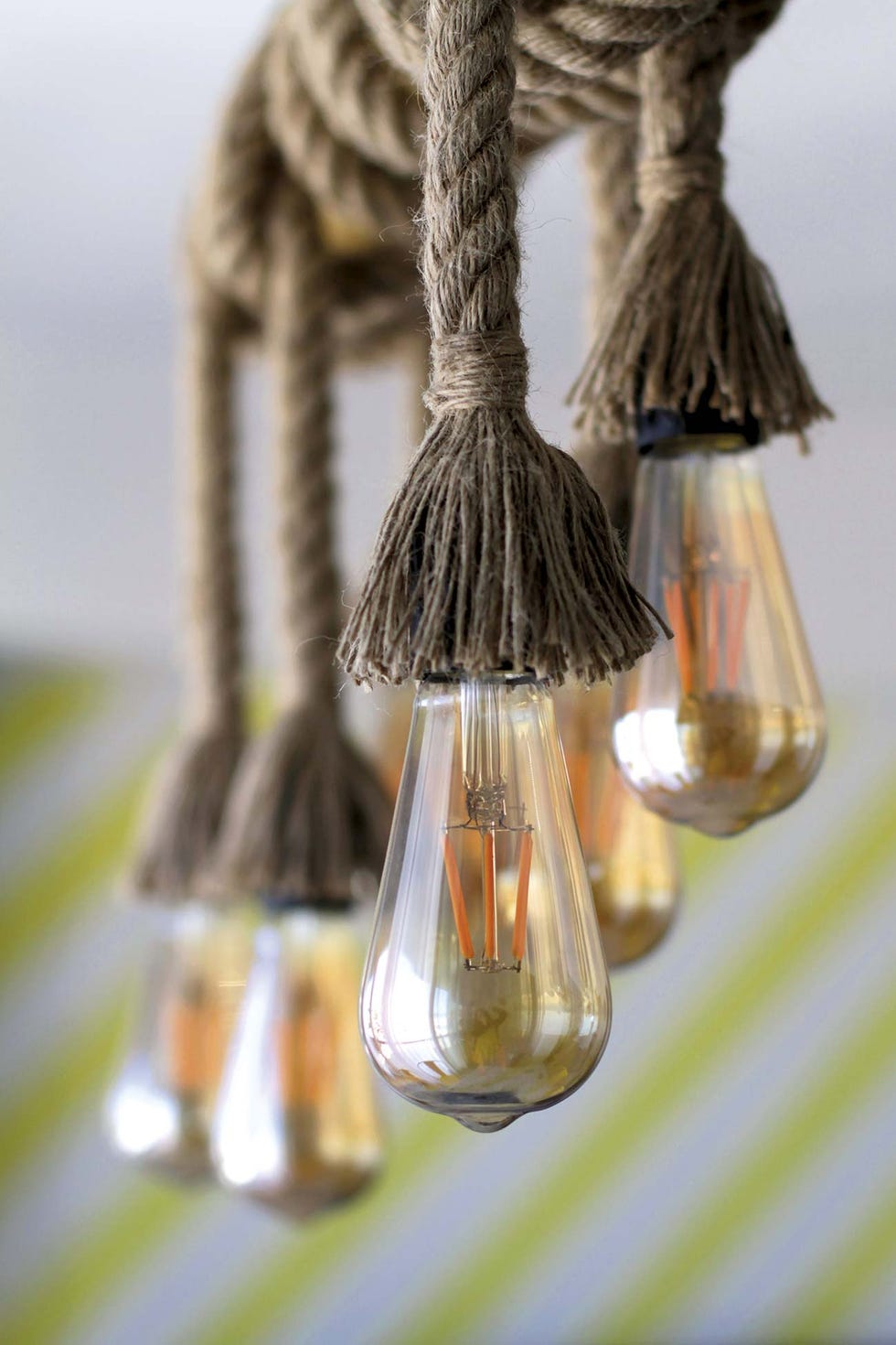 Lighting, Rope, Tree, Branch, Hand, Twig, Plant, 