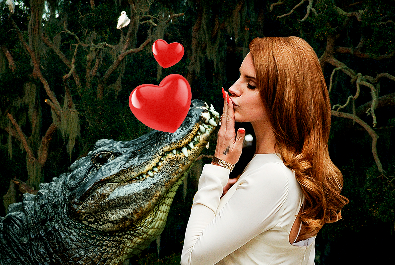 Fine, I Admit It—I, Too, Would Like an Alligator Swamp Husband