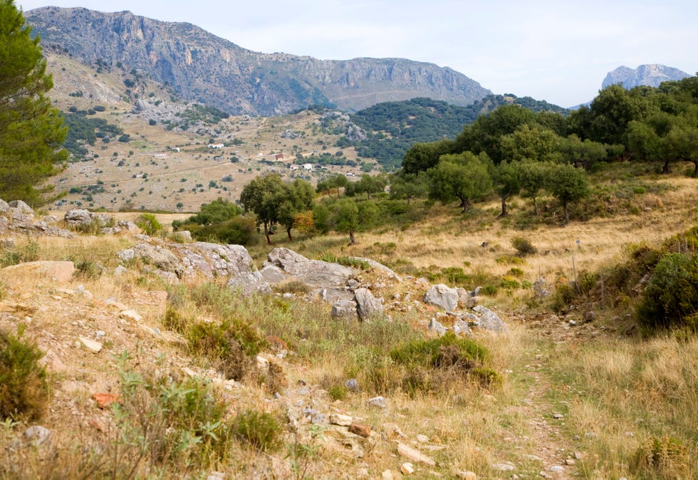 landscape in sierra de grazalema natural park, cadiz province, spain