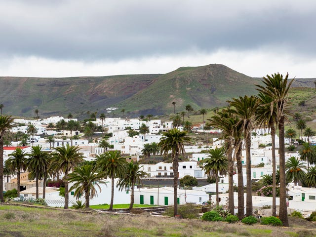 Landscape of the town of Haria, in Lanzarote , Canary Islands, Spain.