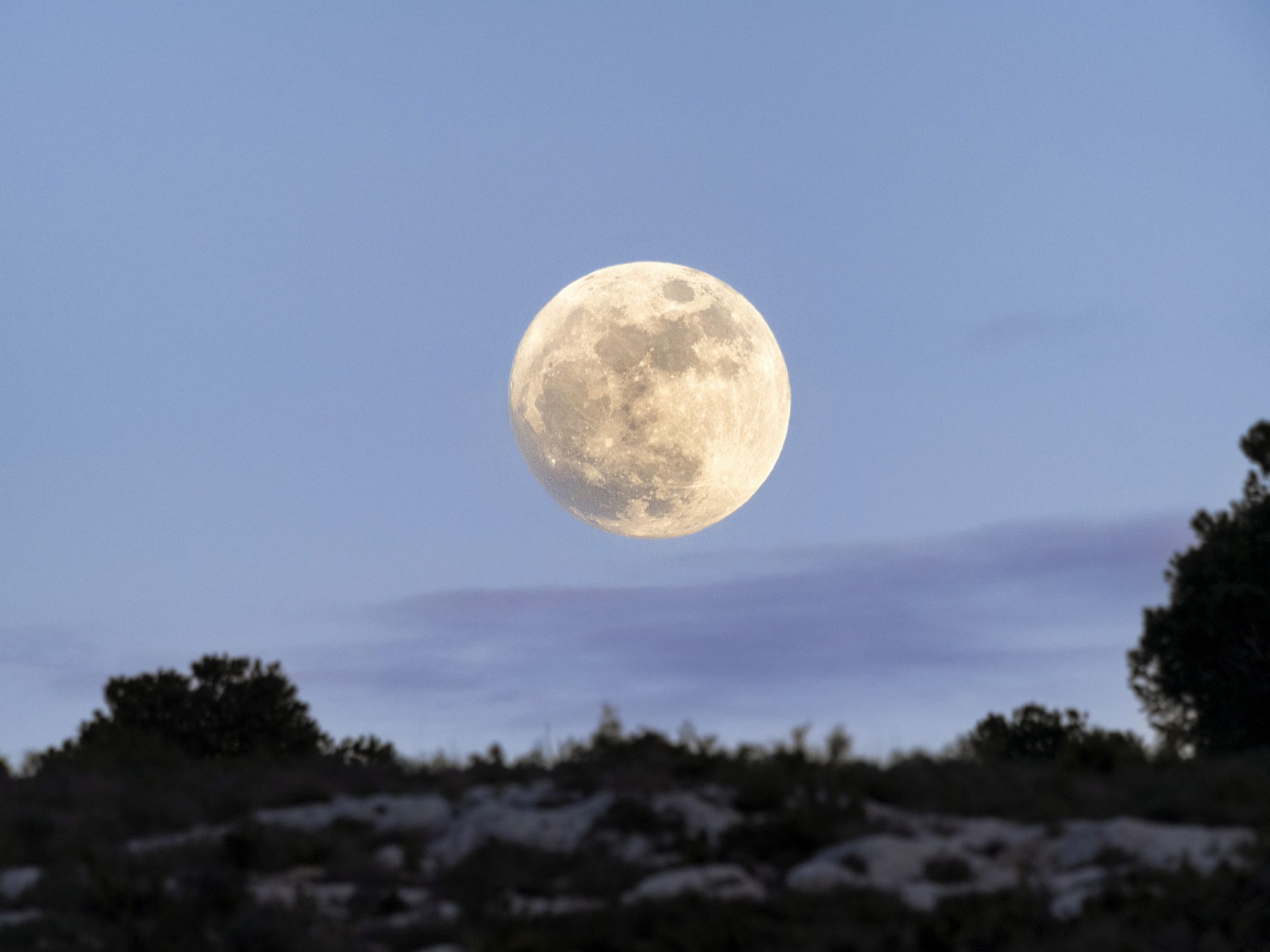 満月いつ】2023年11月27日の満月は「ビーバームーン」！ 観測できる ...