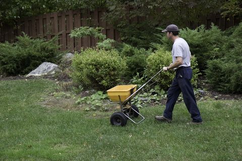 lawn fertilization, landscaper fertilizes a lawn, when to fertilize lawn, grass fertilizer tips