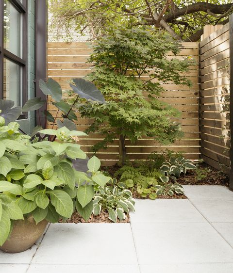 Landscaping and patio of modern condo building