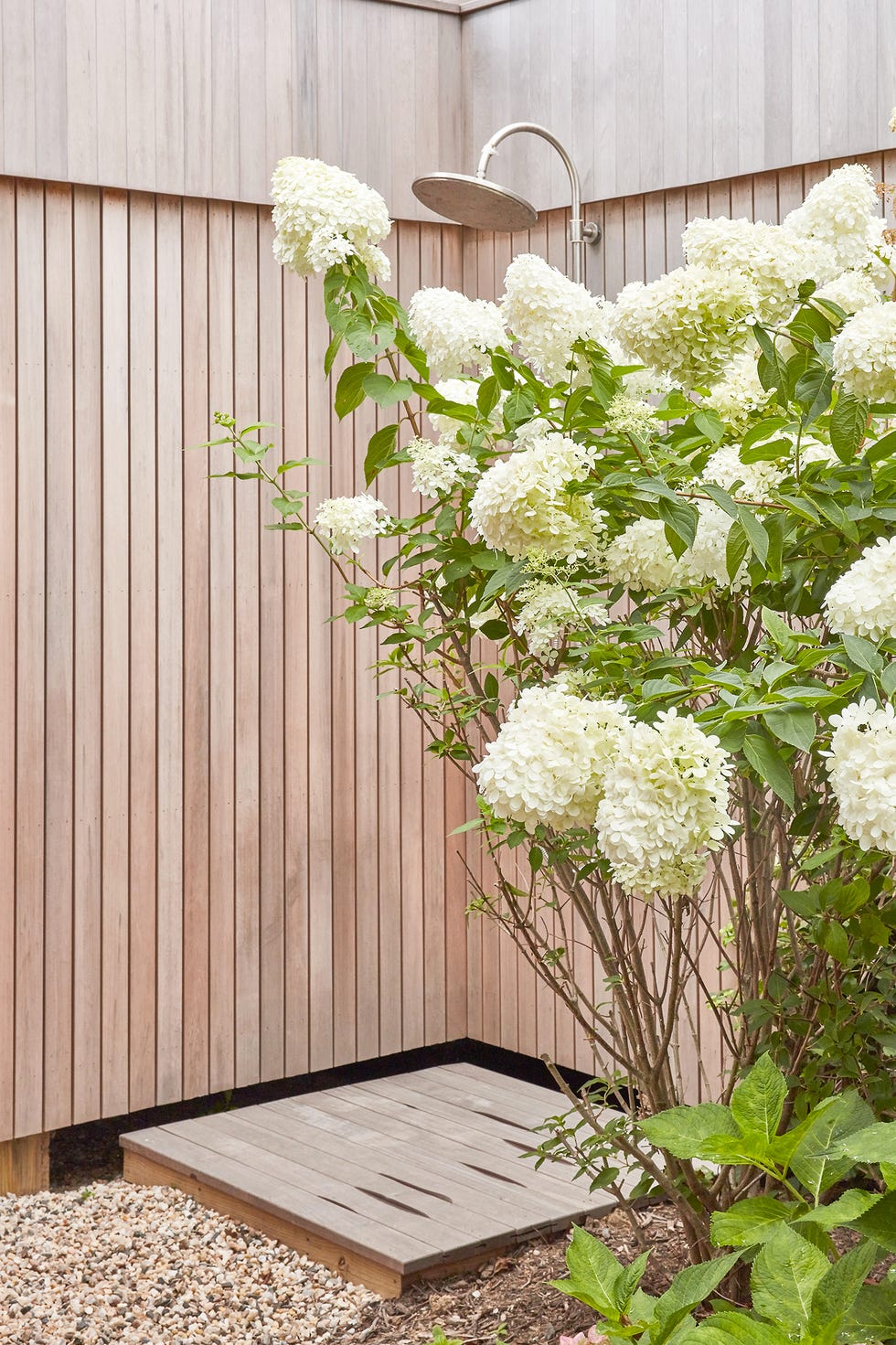 Flower, White, Flower Arranging, Plant, Cut flowers, Floral design, Floristry, Bouquet, Botany, Hydrangea, 