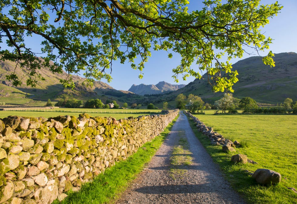 britain-s-10-most-popular-walks-according-to-the-os-map-app