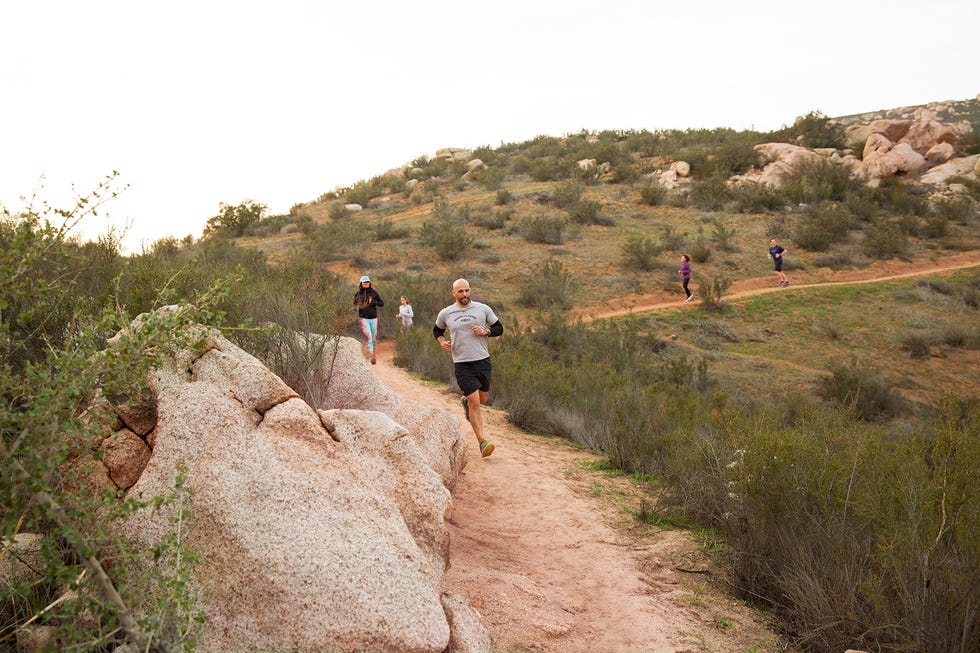 Trail, Outdoor recreation, Recreation, Wilderness, Plant community, Ultramarathon, Running, Long-distance running, Individual sports, Landscape, 