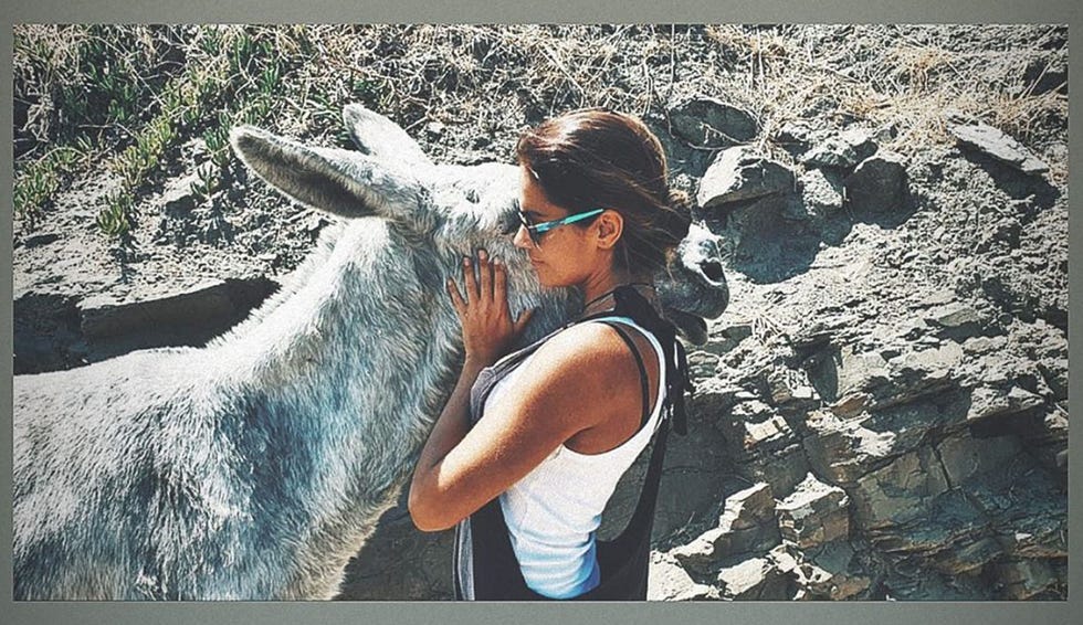 lara Álvarez disfruta de una jornada rodeada de burros