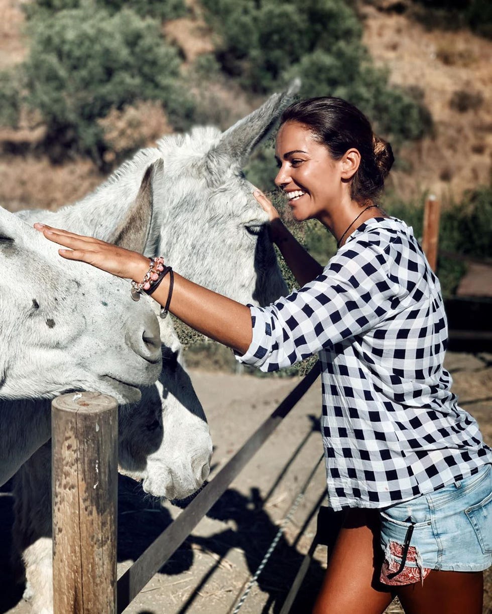 lara Álvarez acariciando unos burros
