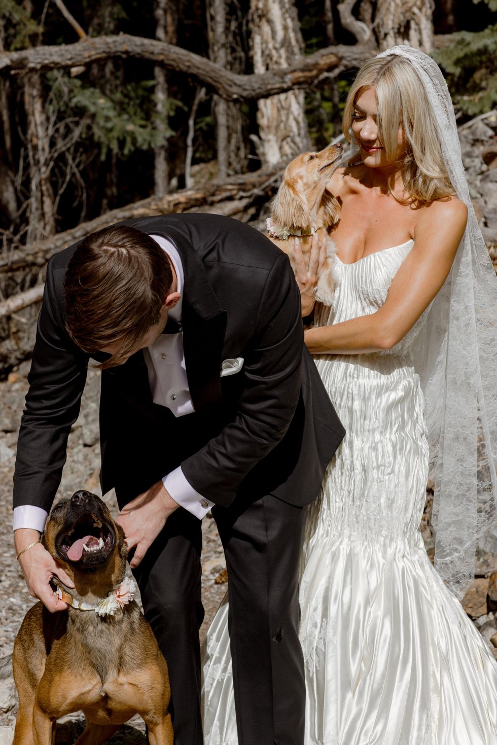 a man and woman in wedding attire with dogs