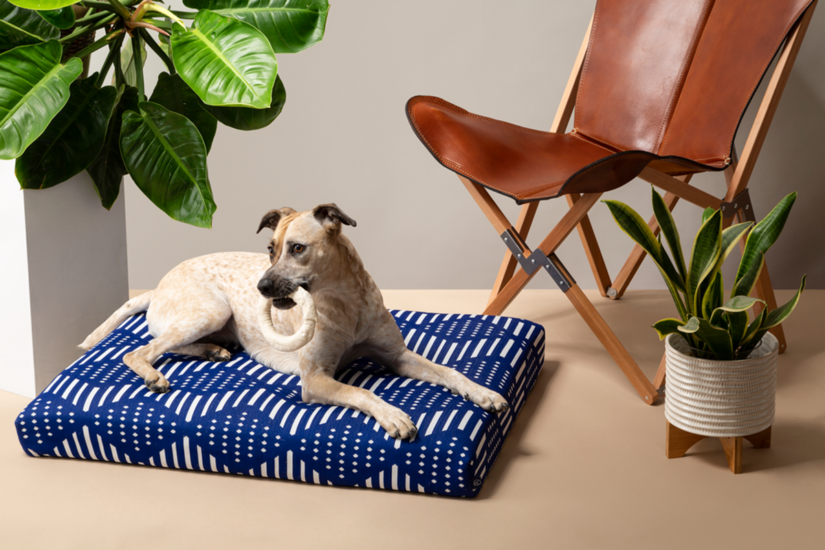 Laylo Pets Designer Dog Beds