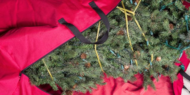 https://hips.hearstapps.com/hmg-prod/images/large-artificial-christmas-tree-being-placed-in-red-nylon-zipper-bag-1577792252.jpg?crop=1.00xw:0.752xh;0,0.0889xh&resize=640:*