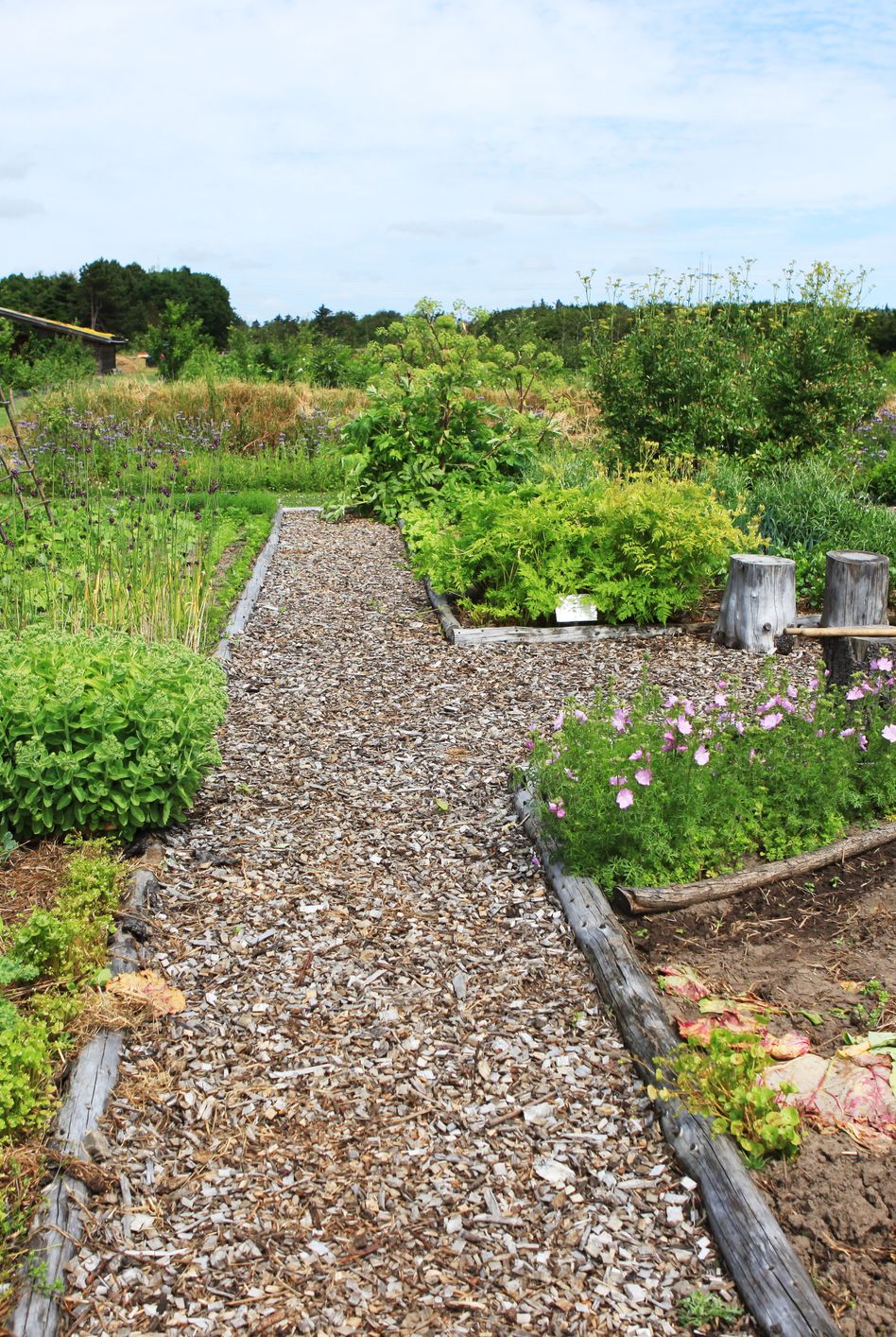 Large rural organic garden with vegetables and flowers