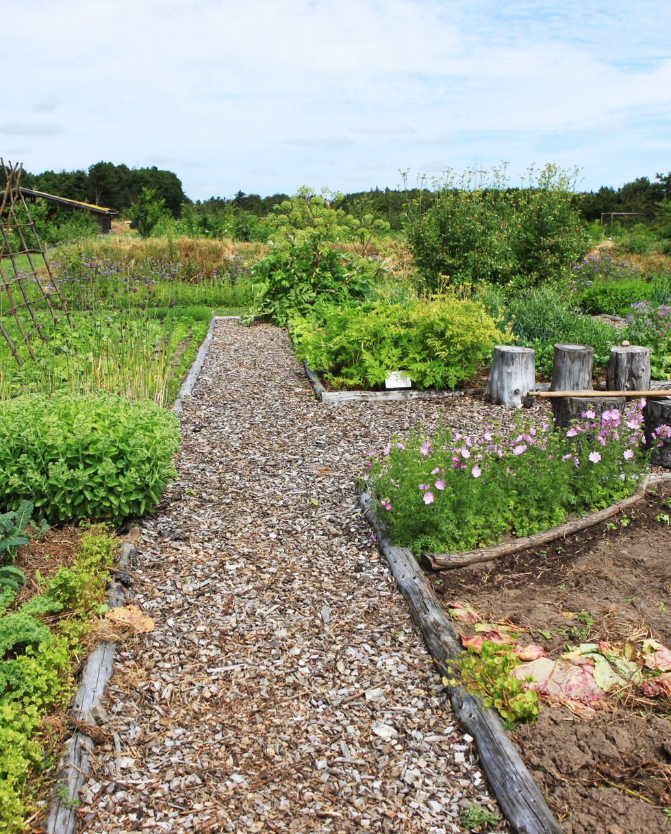 Large rural organic garden with vegetables and flowers