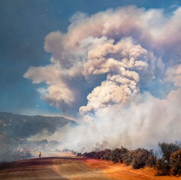 running during wildfires