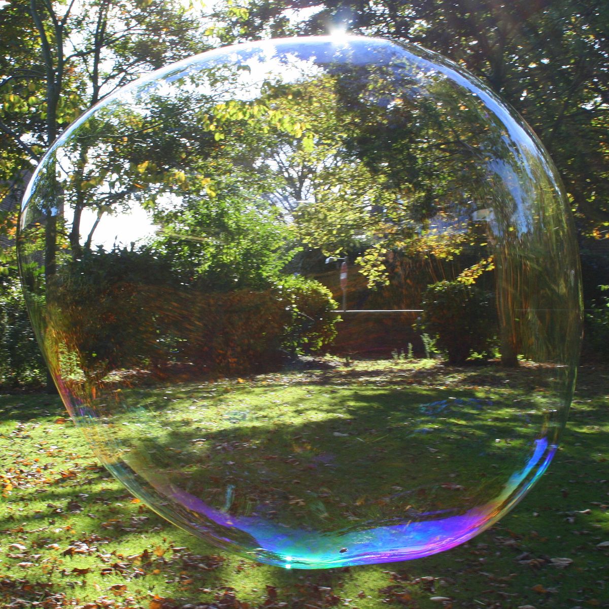 .Large soap bubble in park