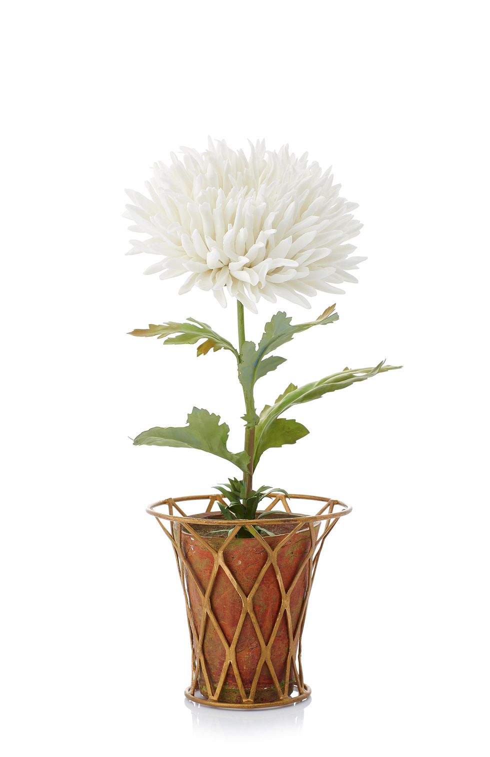 Flower, Flowerpot, Plant, Flowering plant, Houseplant, Cut flowers, Botany, Vase, Chrysanths, Artificial flower, 