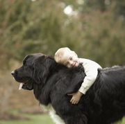 boy hugging large black dog