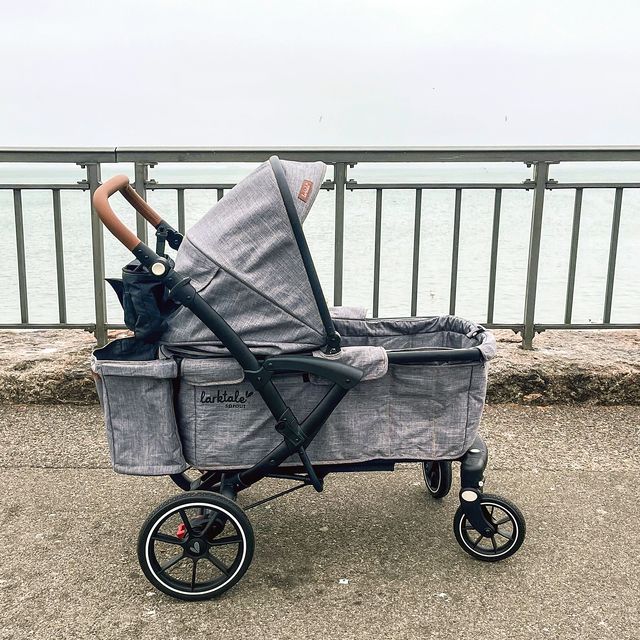 larktale wagon stroller on sidewalk in front of water