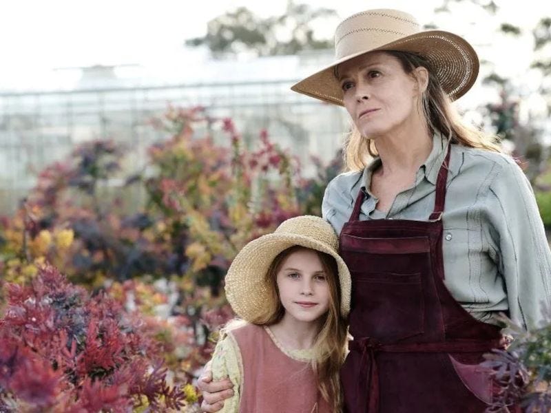 las flores perdidas de alice hart